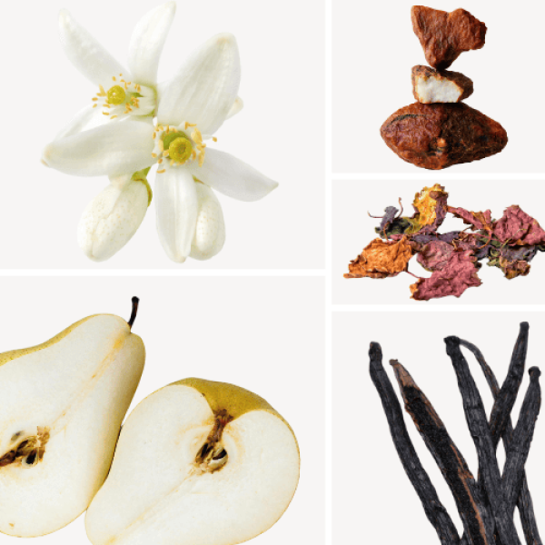 Duftnoten: Orangenblüte, Birne, Vanille, Patschuli, Benzoe